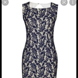 Indigo and Beige Lace Shift Dress